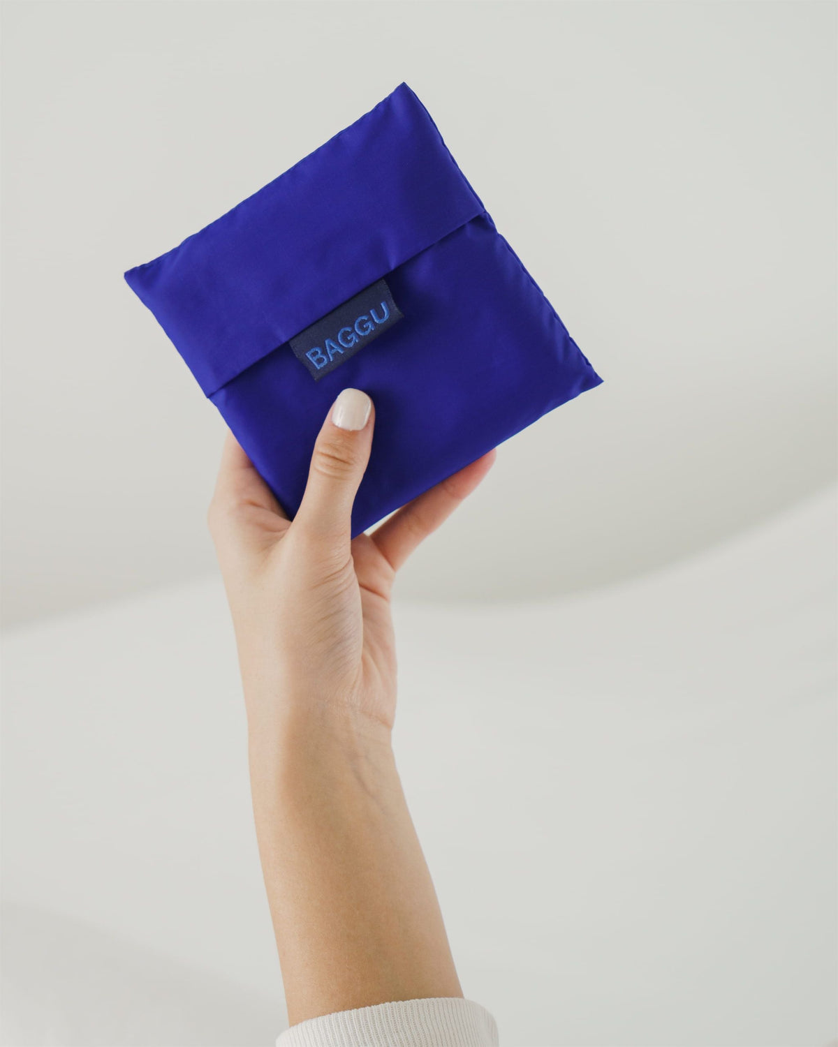 Standard Baggu - Cobalt