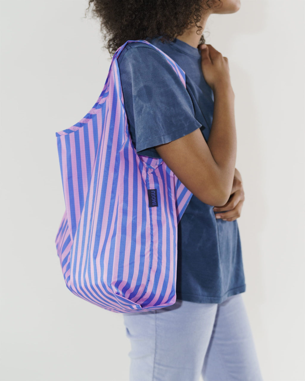 Standard Baggu - Stripe-Pink and Blue