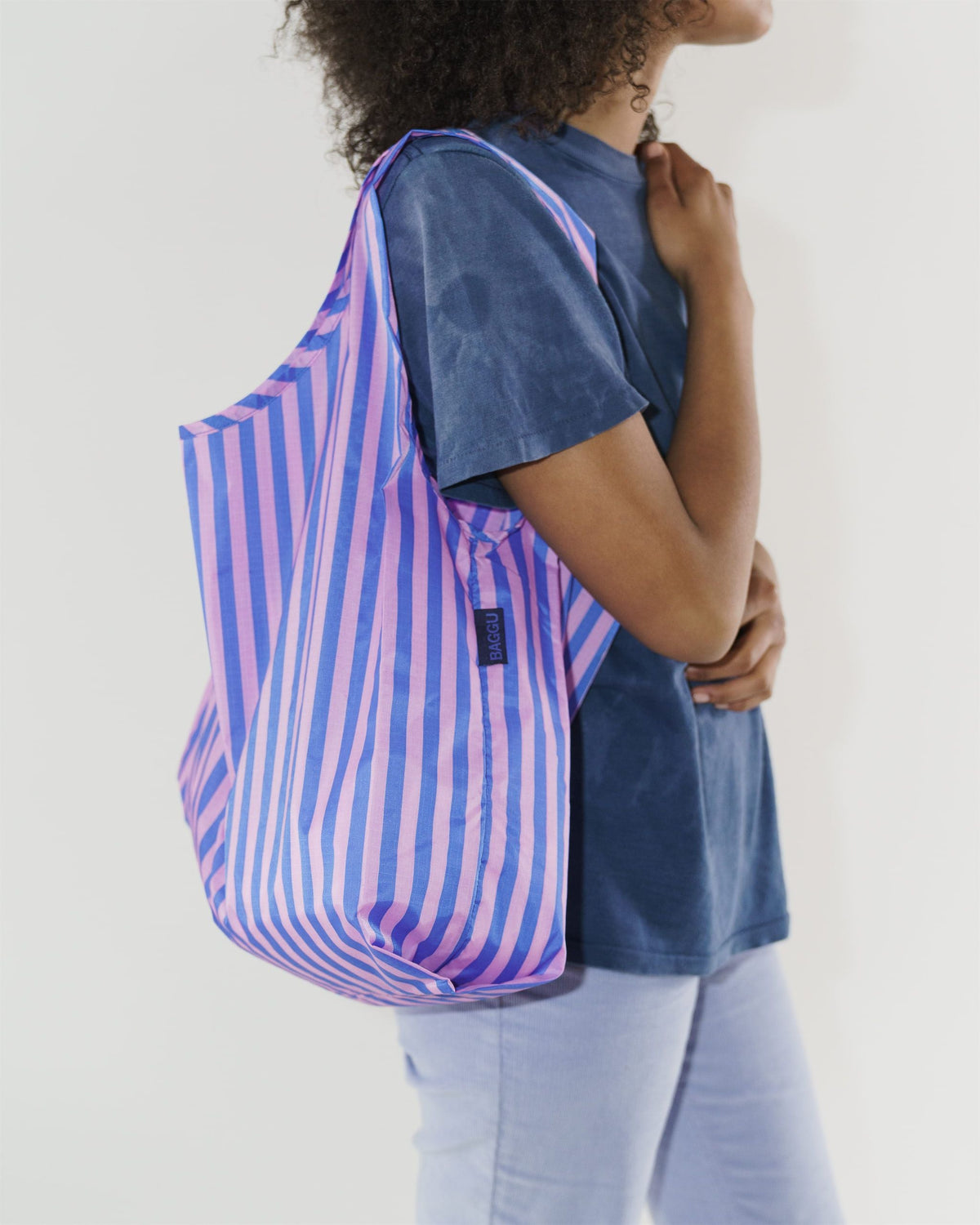 Standard Baggu - Stripe-Pink and Blue