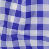 Standard Baggu - Big Check Blue
