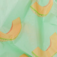 Standard Baggu - Cantaloupe Slice