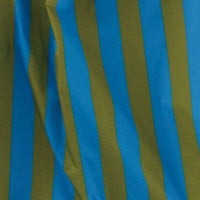 Standard Baggu - Cyan Stripe