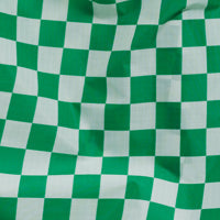 Standard Baggu - Green Checkerboard