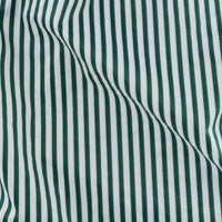 Standard Baggu - Green Hunter Stripe