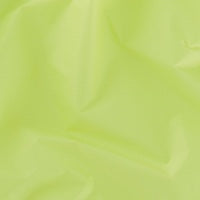 Standard Baggu - Lime