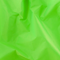Standard Baggu - Neon Green