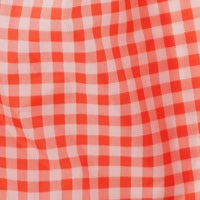 Standard Baggu - Red Gingham