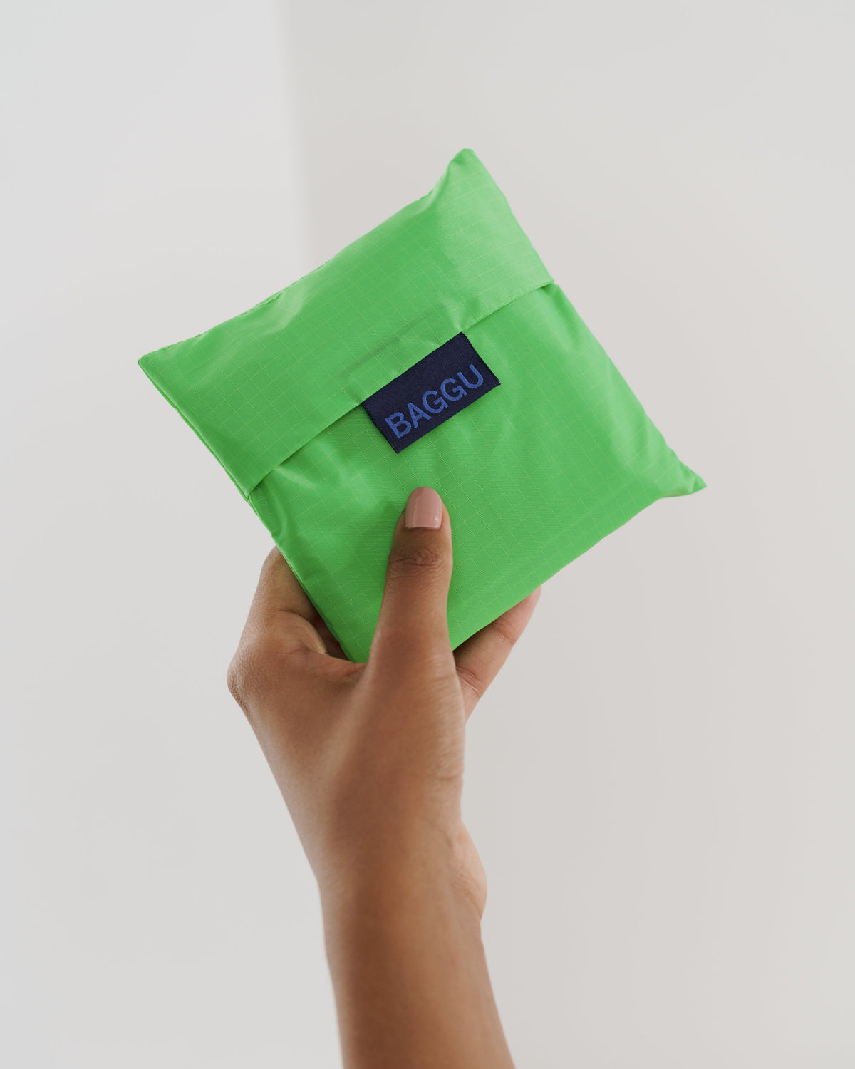 Standard Baggu - Aloe