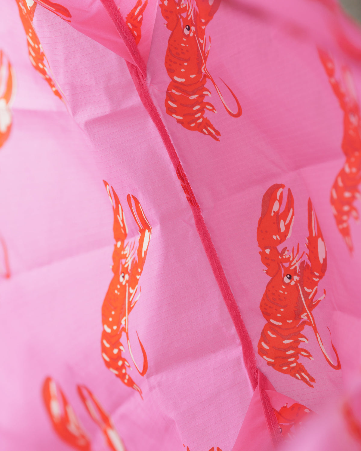 Standard Baggu - Pink Lobster