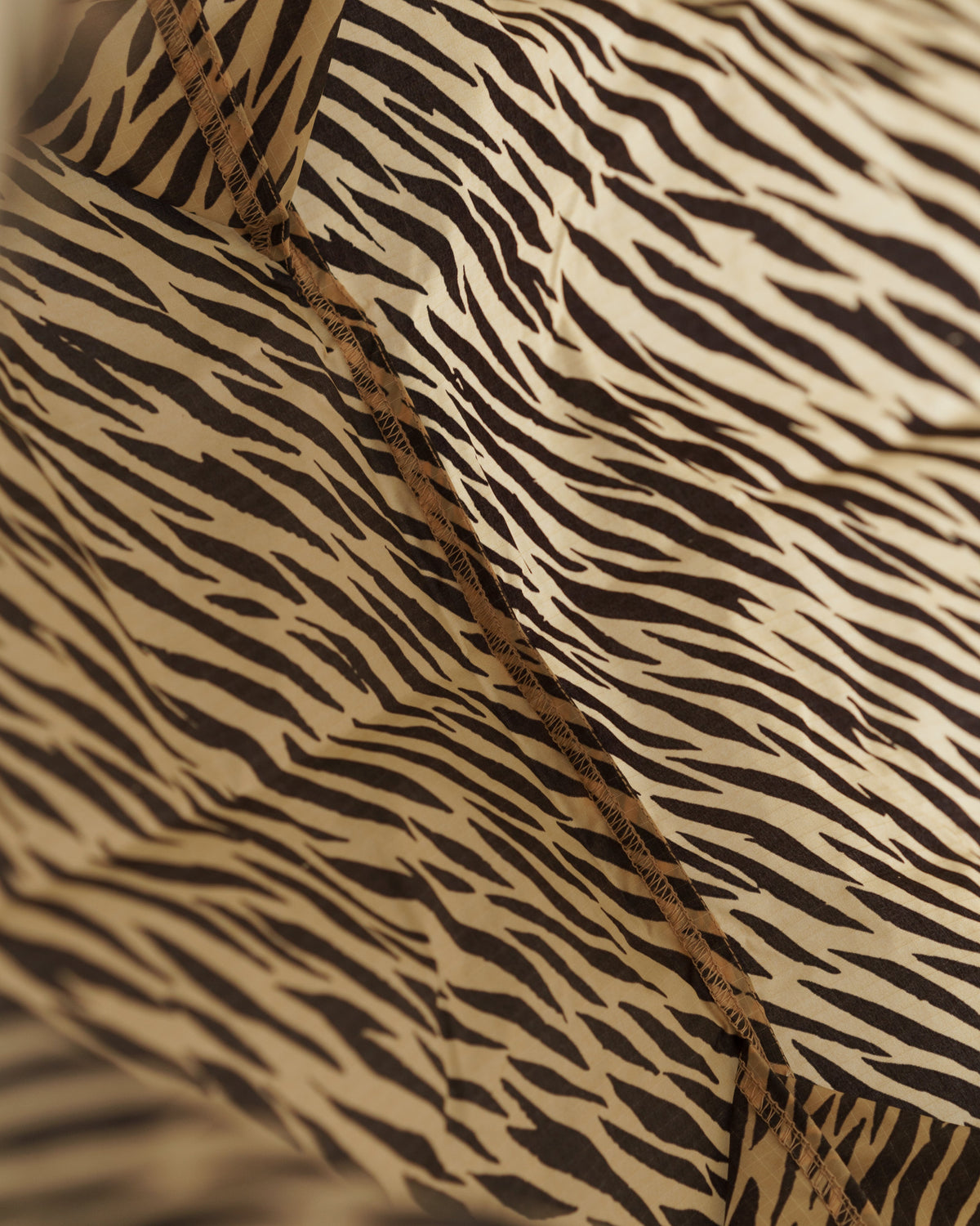 Standard Baggu - Tiger Stripe