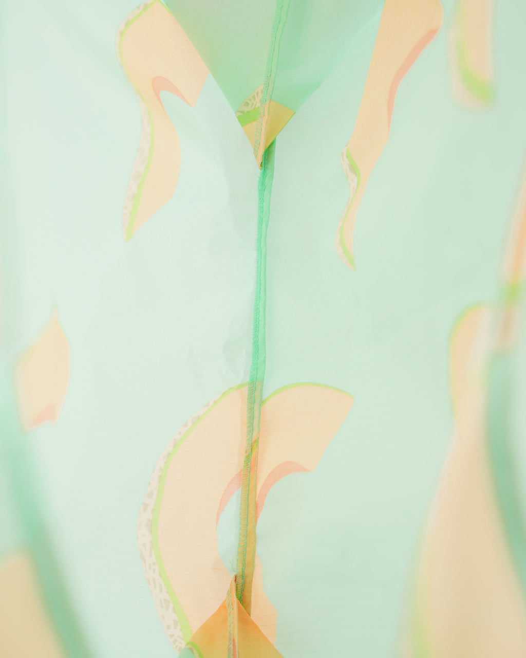 Standard Baggu - Cantaloupe Slice