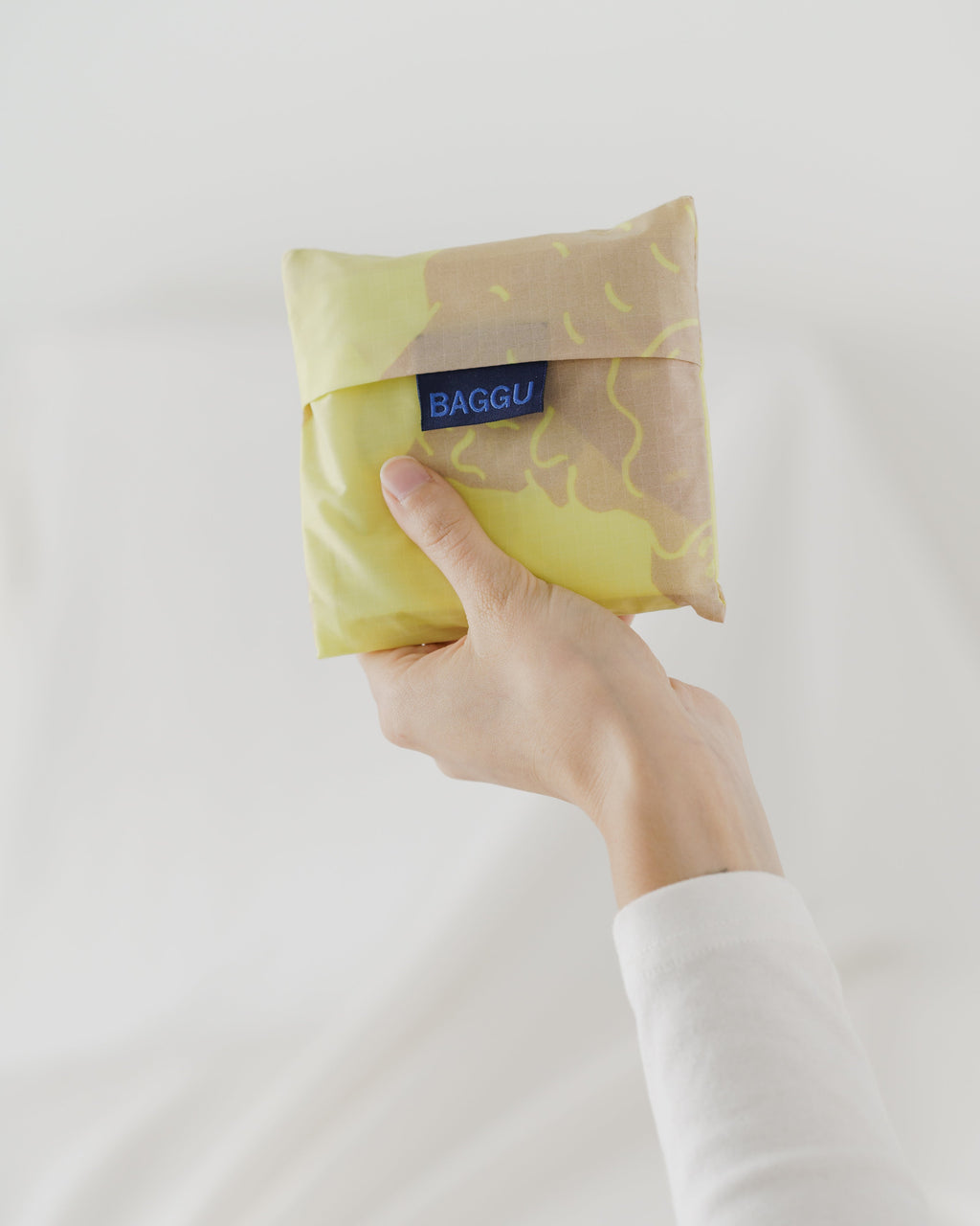 Standard Baggu - Conch