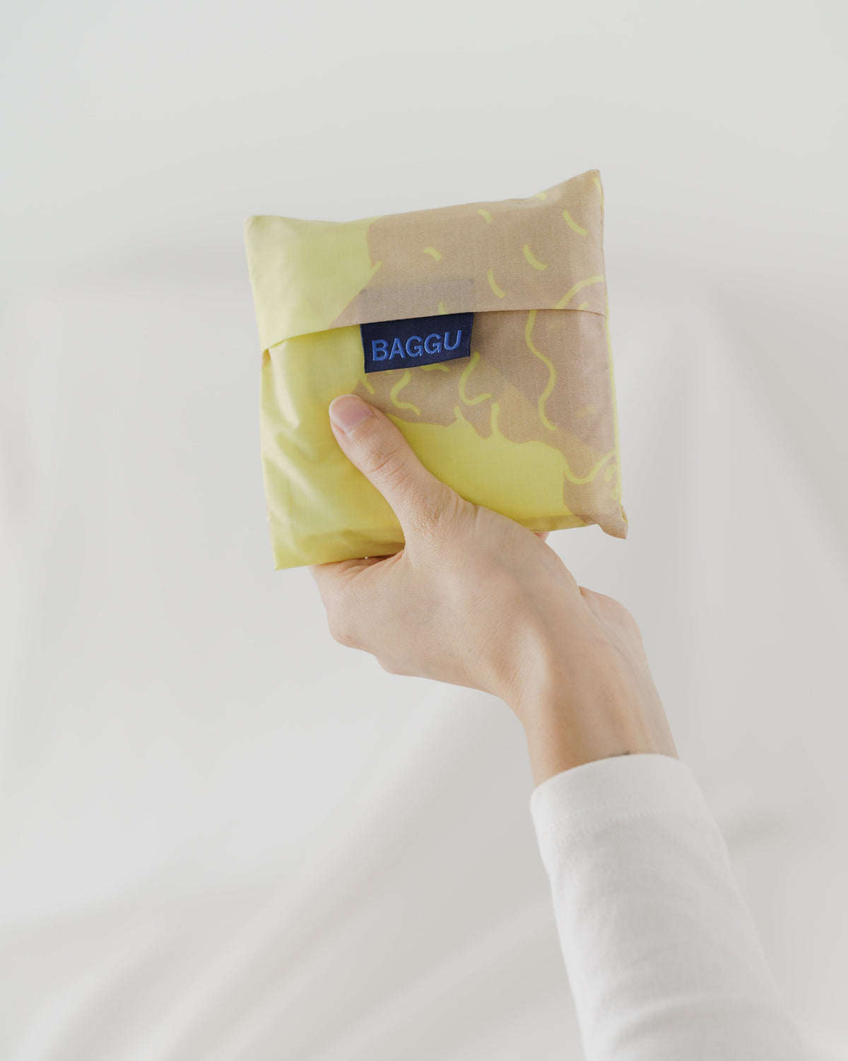Standard Baggu - Conch