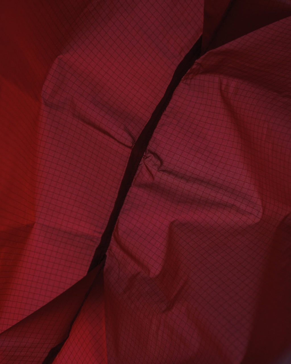 Standard Baggu - Cranberry
