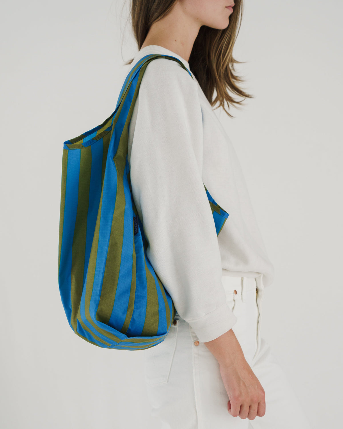 Standard Baggu - Cyan Stripe