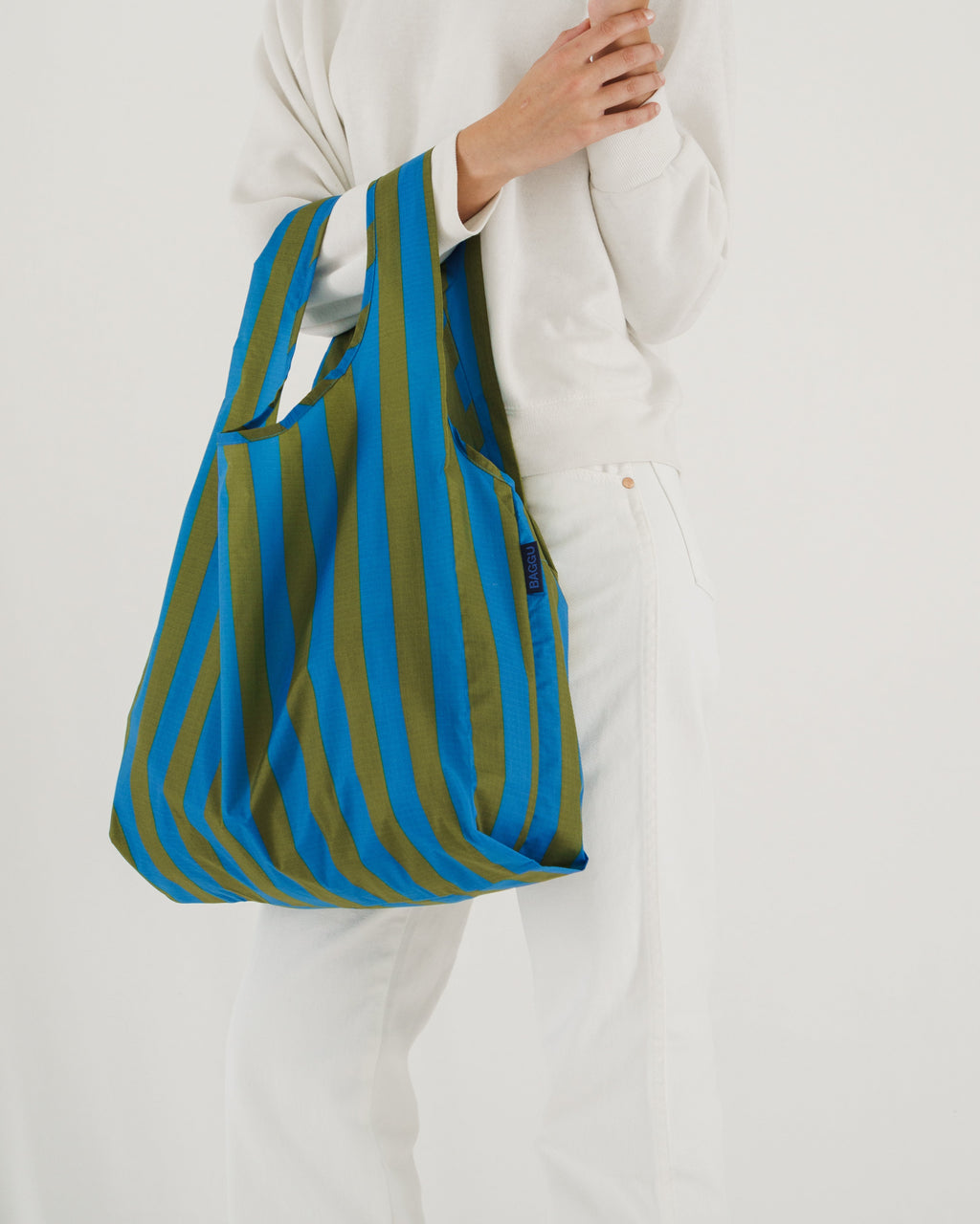 Standard Baggu - Cyan Stripe
