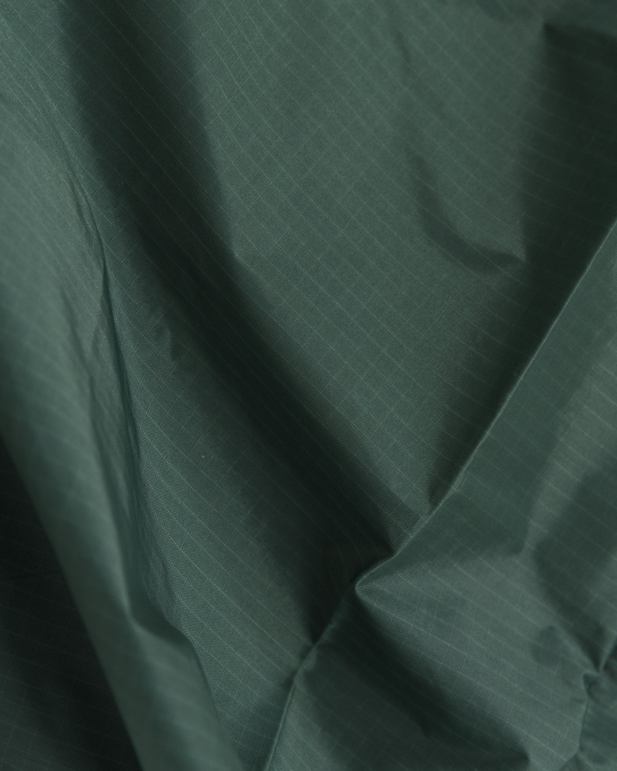 Standard Baggu - Dark Sage