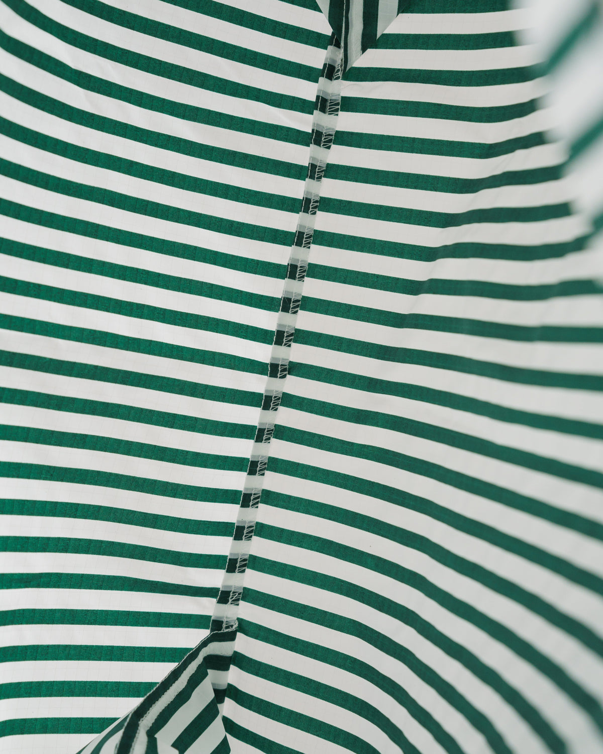 Standard Baggu - Green Hunter Stripe