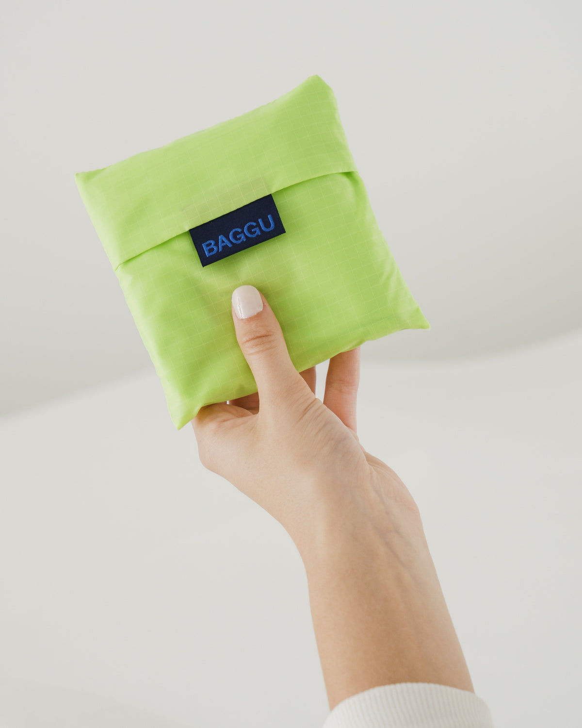 Standard Baggu - Lime