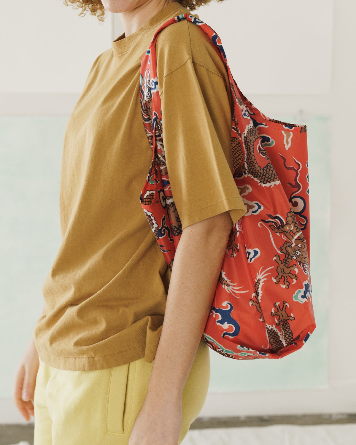 Standard Baggu - Dragon