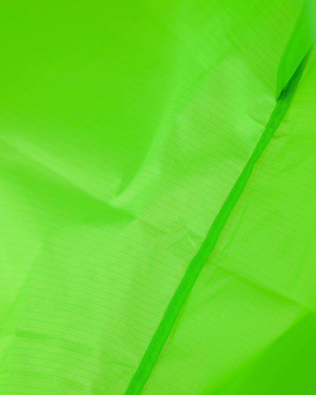 Standard Baggu - Neon Green