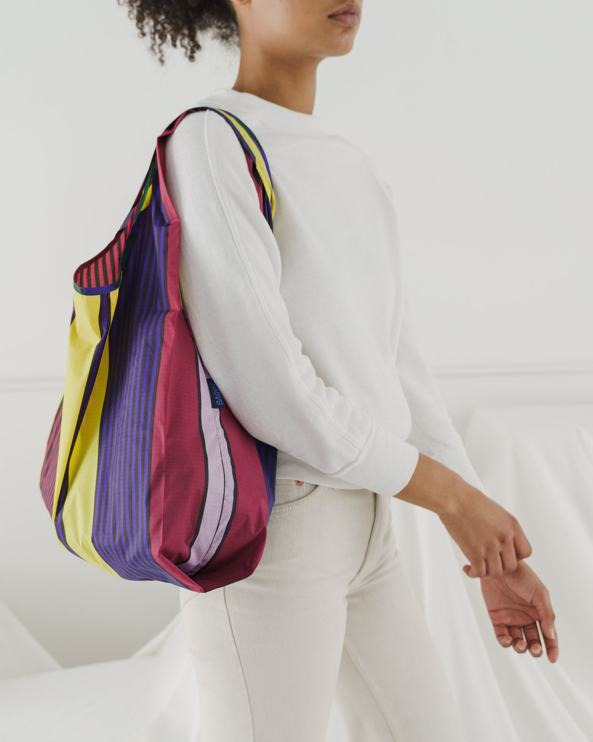 Standard Baggu - Scarf Stripe