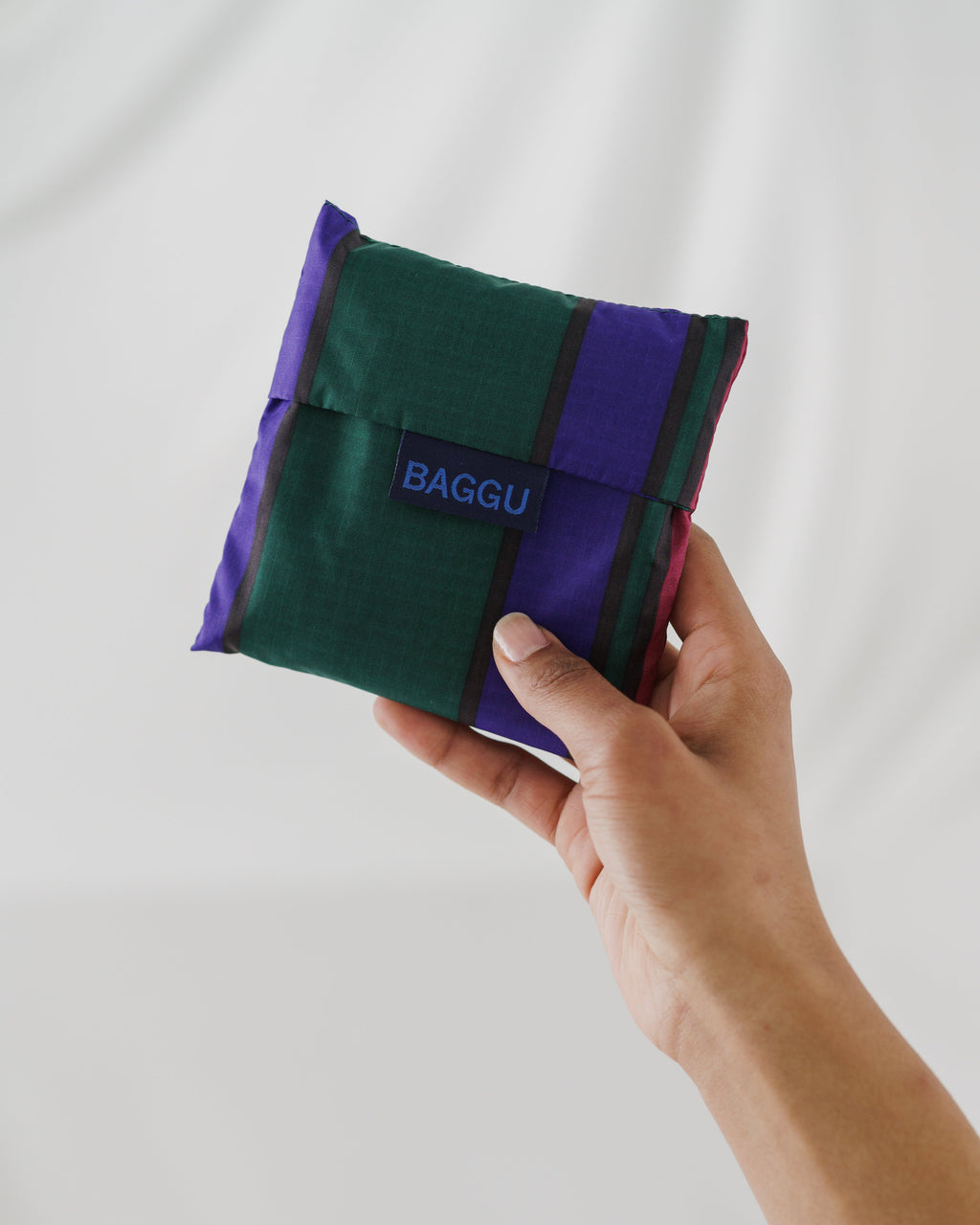 Standard Baggu - Scarf Stripe
