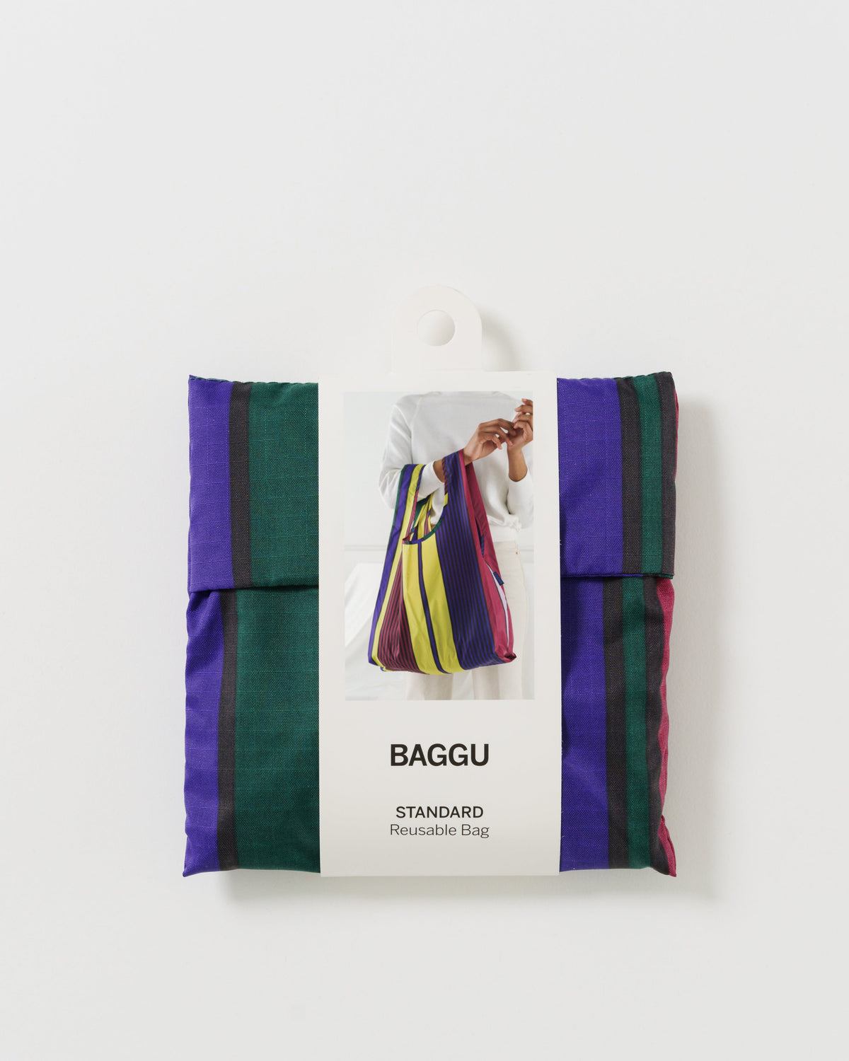 Standard Baggu - Scarf Stripe