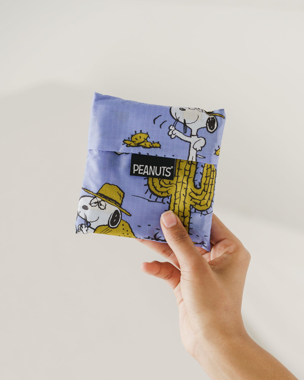 Standard Baggu - Spike