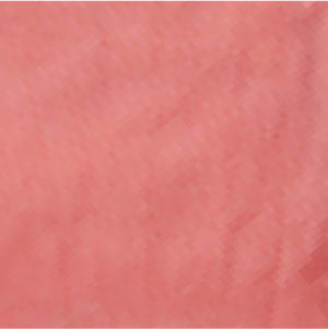 Fanny Pack - Watermelon Pink
