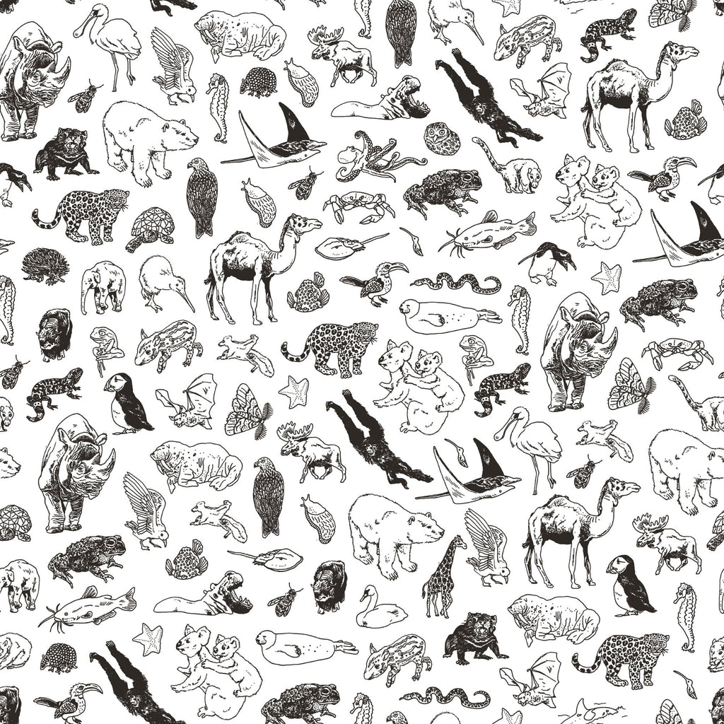 Standard Baggu - Zoo
