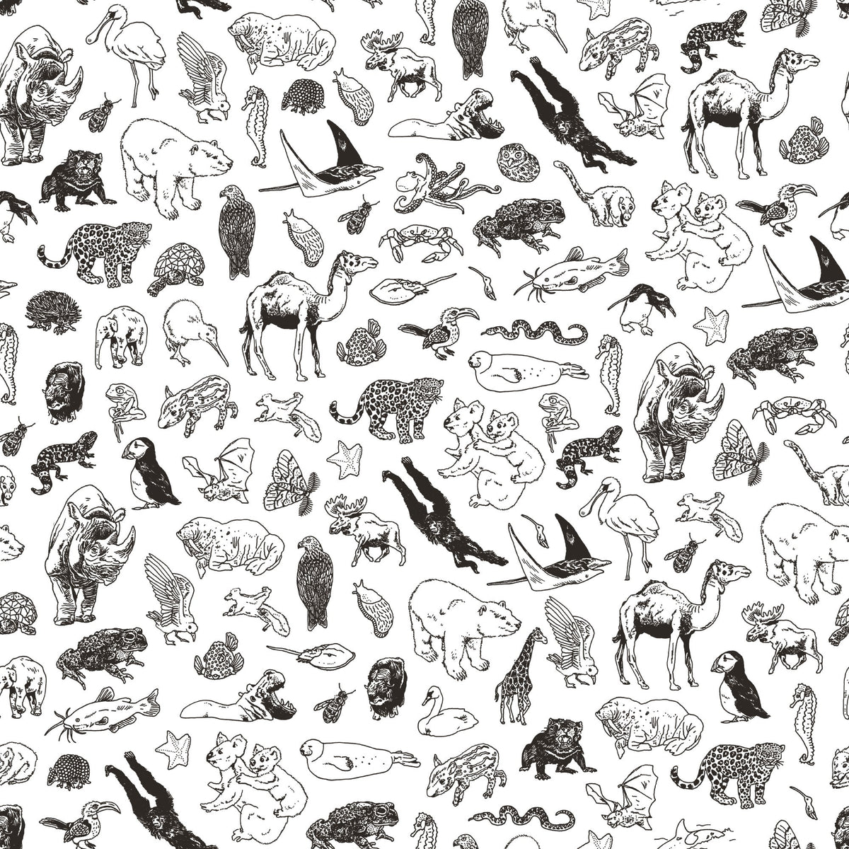 Standard Baggu - Zoo