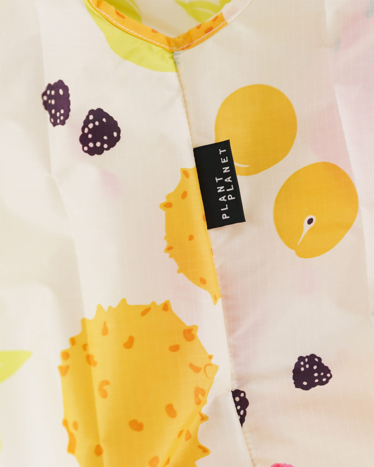 Standard Baggu - Summer Fruit