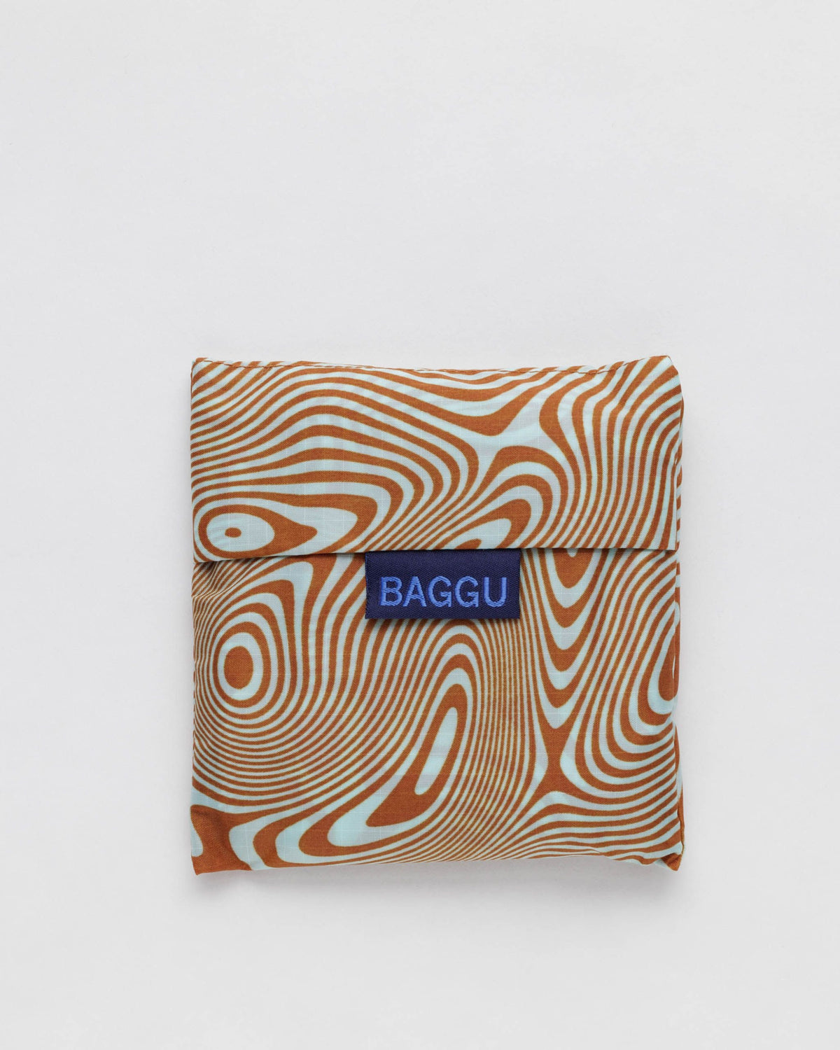Standard Baggu - Trippy Swirl Pool
