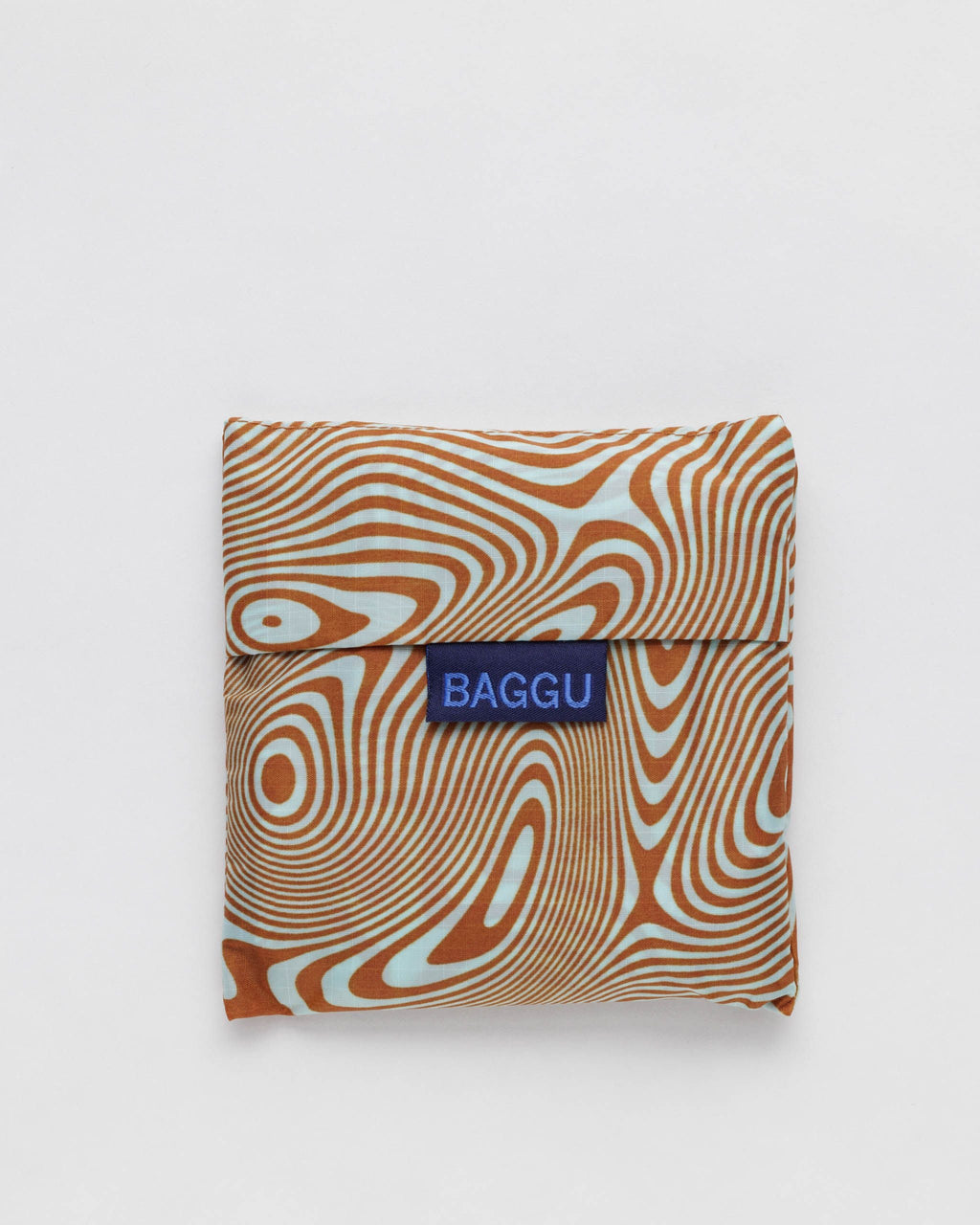 Standard Baggu - Trippy Swirl Pool